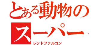 とある動物のスーパー戦隊（レッドファルコン）