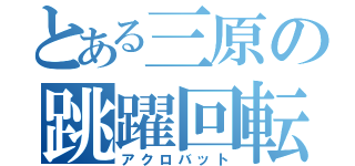 とある三原の跳躍回転（アクロバット）