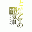 とある少年の電気鼠（ピカチュウ）