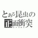 とある昆虫の正面衝突（こっつんこ）