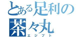 とある足利の茶々丸（エジプト）