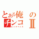 とある俺のチンコⅡ（ビックペニス）