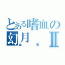 とある嗜血の幻月Ⅱ（血腥）