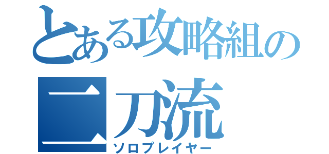 とある攻略組の二刀流（ソロプレイヤー）