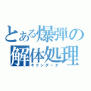 とある爆弾の解体処理（キケンダーナ）