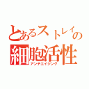 とあるストレイツォの細胞活性（アンチエイジング）