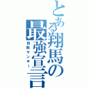 とある翔馬の最強宣言（自称ヤンキー）