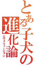 とある子犬の進化論（エヴォリューション）