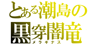 とある潮島の黒穿闇竜（メラギナス）