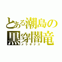 とある潮島の黒穿闇竜（メラギナス）