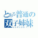 とある普通の双子姉妹（インデックス）