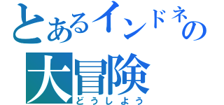 とあるインドネシアの大冒険（どうしよう）