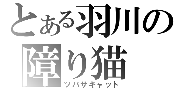 とある羽川の障り猫（ツバサキャット）