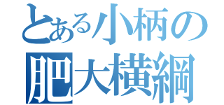 とある小柄の肥大横綱（）