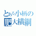 とある小柄の肥大横綱（）