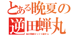 とある晩夏の逆田蝉丸（虫の死骸ひっくり返す人）