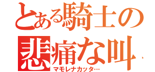 とある騎士の悲痛な叫び（マモレナカッタ…）