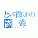 とある微加の露 裘（インデックス）