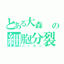 とある大森   の細胞分裂（パッカン）