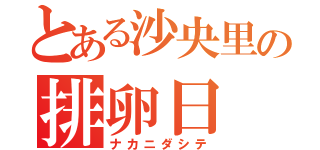 とある沙央里の排卵日（ナカニダシテ）