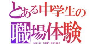 とある中学生の職場体験（ｊｕｎｉｏｒ ｈｉｇｈ ｓｃｈｏｏｌ）