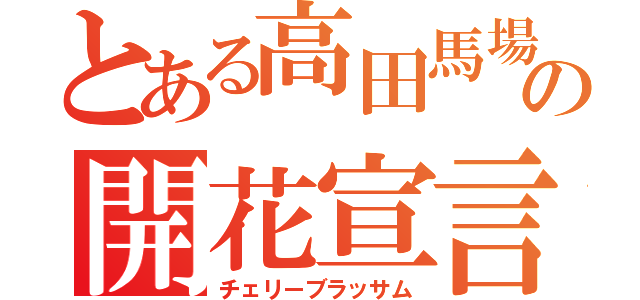 とある高田馬場の開花宣言（チェリーブラッサム）