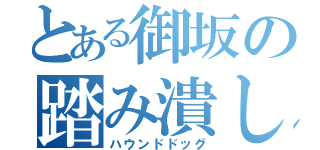 とある御坂の踏み潰し（ハウンドドッグ）