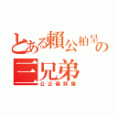 とある賴公柏呈の三兄弟（公公偏頭痛）