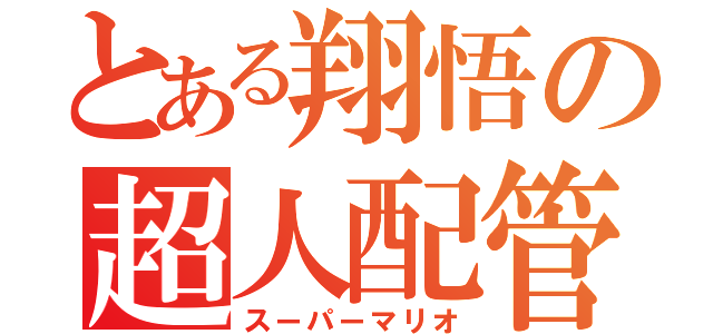 とある翔悟の超人配管工士（スーパーマリオ）