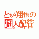 とある翔悟の超人配管工士（スーパーマリオ）