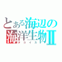 とある海辺の海洋生物Ⅱ（タコイカ）