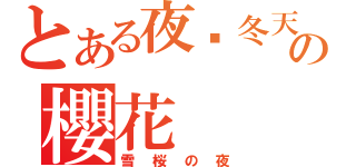 とある夜晚冬天の櫻花（雪桜の夜）