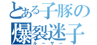 とある子豚の爆裂迷子（ルーザー）