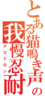 とある猫鳴き声の我慢忍耐（アストロン）