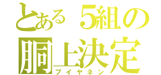 とある５組の胴上決定（ブイヤネン）