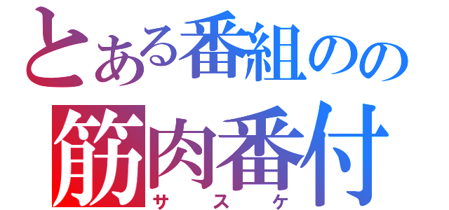 とある番組のの筋肉番付（サスケ）