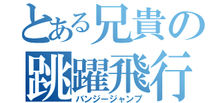 とある兄貴の跳躍飛行（バンジージャンプ）