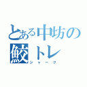 とある中坊の鮫トレ（シャーク）