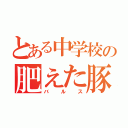 とある中学校の肥えた豚（バルス）