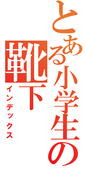 とある小学生の靴下（インデックス）