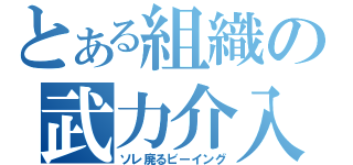 とある組織の武力介入（ソレ廃るビーイング）