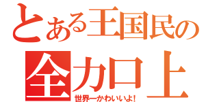 とある王国民の全力口上（世界一かわいいよ！）