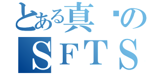 とある真蜱のＳＦＴＳ（）