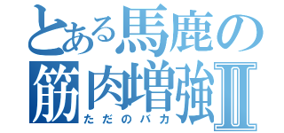 とある馬鹿の筋肉増強Ⅱ（ただのバカ）