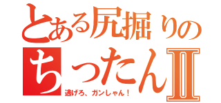 とある尻掘りのちったんⅡ（逃げろ、ガンしゃん！）