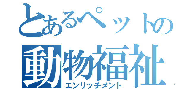 とあるペットの動物福祉（エンリッチメント）