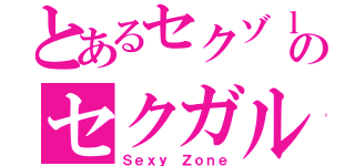 とあるセクゾｌｏｖｅのセクガル（Ｓｅｘｙ Ｚｏｎｅ）