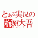 とある実況の梅原大吾（ウメハラ）