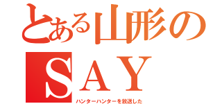 とある山形のＳＡＹ（ハンターハンターを放送した）