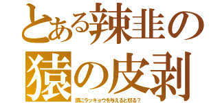 とある辣韭の猿の皮剥（猿にラッキョウを与えると怒る？）